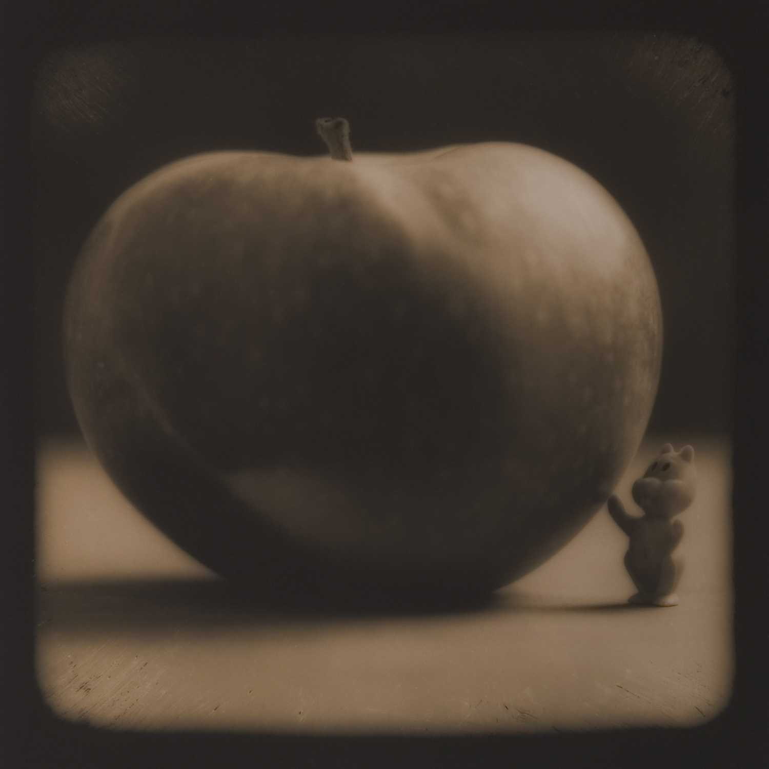 from the series Tales